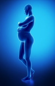 The body changes in pregnancy